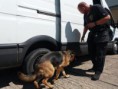  Motorovou naftu přepravovala nelegálně, bez dokladů a s pozitivním testem na drogy